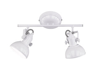 Punktveida gaismeklis Gina ar divām spuldzēm 2 x E14 balta cena un informācija | Griestu lampas | 220.lv