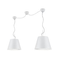 Подвесной светильник Andreus 2хЕ27, матовый белый/серебристый 920012493 цена и информация | Люстры | 220.lv