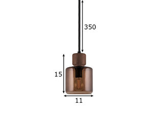 Griestu lampa Dot 11, brūna, 40 W 891111676 cena un informācija | Lustras | 220.lv