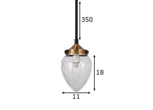 Griestu lampa Juni 11, caurspīdīga stikla, 40 W 891111675 cena un informācija | Lustras | 220.lv