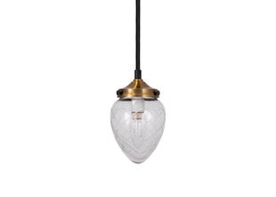 Griestu lampa Juni 11, caurspīdīga stikla, 40 W 891111675 цена и информация | Люстры | 220.lv