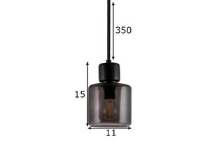 Griestu lampa Dot 11, dūmakaina stikla, 40 W 891111679 cena un informācija | Piekaramās lampas | 220.lv