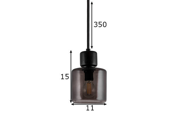 Griestu lampa Dot 11, dūmakaina stikla, 40 W 891111679 cena un informācija | Lustras | 220.lv