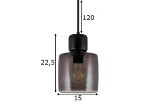Griestu lampa Dot 23, dūmakaina stikla/koka, 60 W 891111683 cena un informācija | Lustras | 220.lv