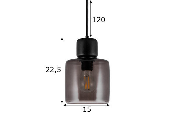 Griestu lampa Dot 23, dūmakaina stikla/koka, 60 W 891111683 цена и информация | Piekaramās lampas | 220.lv