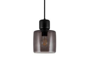 Griestu lampa Dot 23, dūmakaina stikla/koka, 60 W 891111683 cena un informācija | Lustras | 220.lv