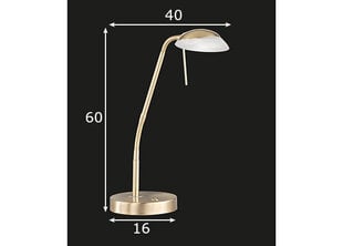 Galda lampa Pool TW LED, misiņa tonis, 5 W/530 lm цена и информация | Настольные лампы | 220.lv