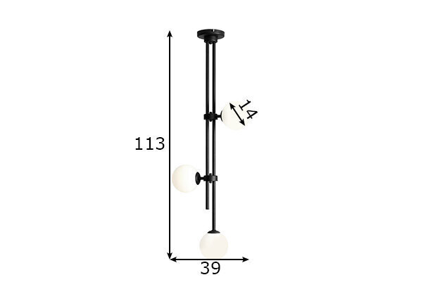 Griestu lampa Harmony, melna, 3x 40 W 891134728 цена и информация | Griestu lampas | 220.lv