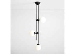 Griestu lampa Harmony, melna, 3x 40 W 891134728 цена и информация | Потолочные светильники | 220.lv