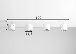 Griestu lampa Bot, balta, 4x 35 W 891149870 cena un informācija | Griestu lampas | 220.lv