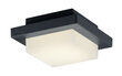 Sienas/Griestu lampa Hondo LED, antracīta цена и информация | Āra apgaismojums | 220.lv