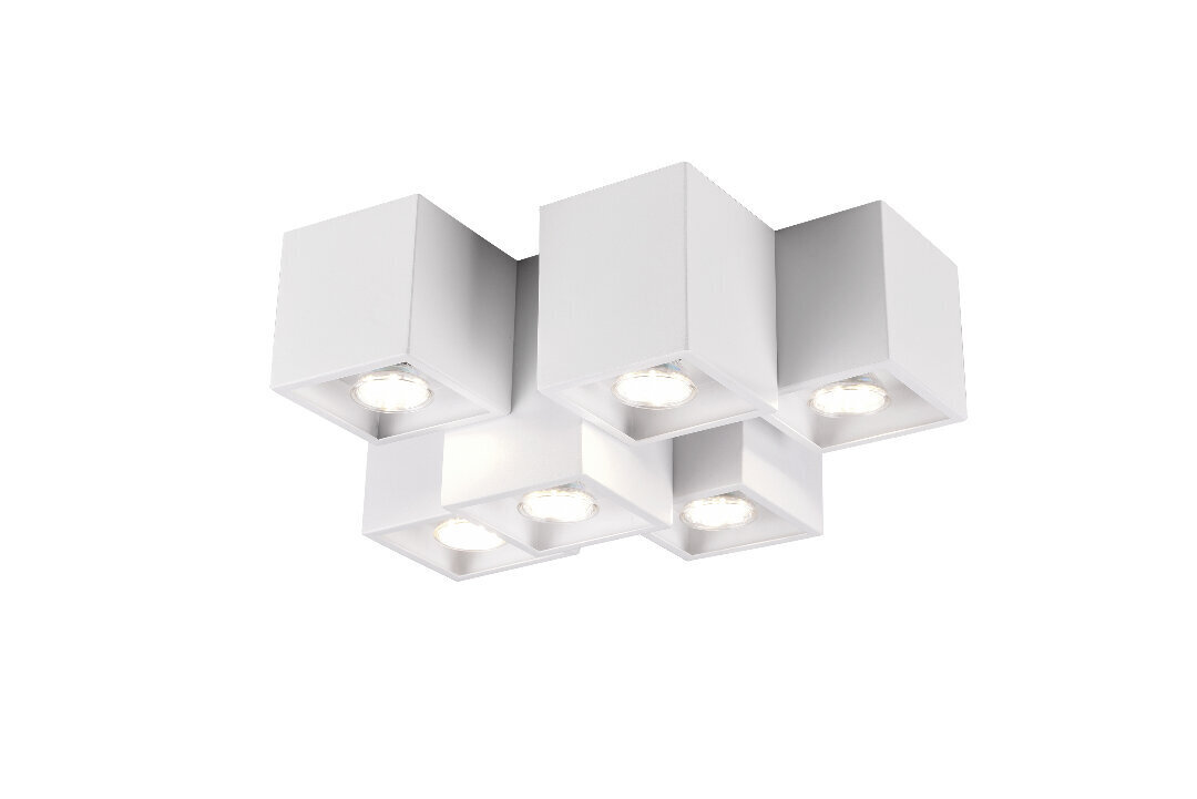 Griestu lampa Fernando, 6-daļīga, 6 x GU10, matēti balta 920051766 цена и информация | Griestu lampas | 220.lv