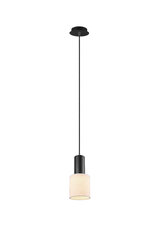 Подвесной светильник Wailer цена и информация | Настенный/подвесной светильник Eye Spot 11 BL, чёрный | 220.lv