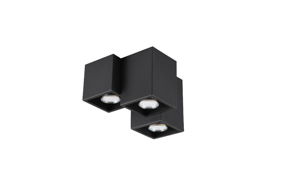 Griestu lampa Fernando, 3-daļīga, 3 x GU10, matēti melna cena un informācija | Griestu lampas | 220.lv