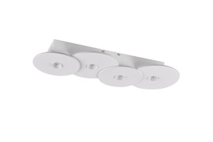 Потолочный светильник Discus, 4 x E27, белый матовый 920051782 цена и информация | Потолочные светильники | 220.lv