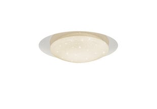 LED griestu lampa Frodo, 35 cm, STARLIGHT balts 920051874 цена и информация | Потолочные светильники | 220.lv