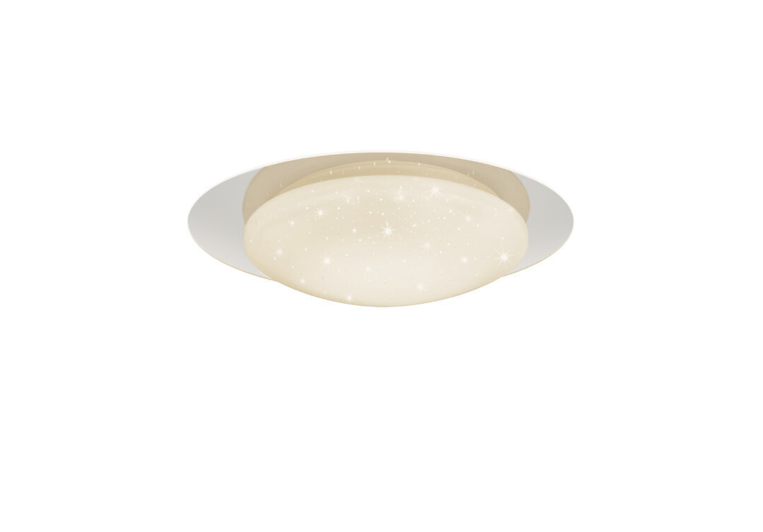 LED griestu lampa Frodo, 35 cm, STARLIGHT balts 920051874 цена и информация | Griestu lampas | 220.lv