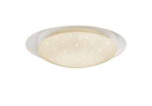 LED griestu lampa Frodo, 48 cm, STARLIGHT balts 920051875 cena un informācija | Griestu lampas | 220.lv