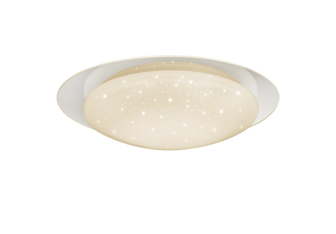 LED griestu lampa Frodo, 48 cm, STARLIGHT balts 920051875 цена и информация | Griestu lampas | 220.lv
