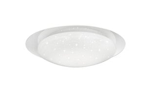 LED griestu lampa Frodo, 48 cm, STARLIGHT balts 920051875 cena un informācija | Griestu lampas | 220.lv