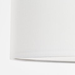 Потолочный светильник Andria, белый, 920053223 цена и информация | Потолочный светильник | 220.lv