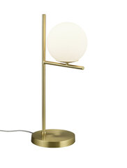 Pure Galda lampa 1xE14, 53 cm, matēta misiņa krāsas/balta cena un informācija | Galda lampas | 220.lv
