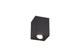 LED griestu spotlampa Biscuit 1XGU10, matēti melna cena un informācija | Griestu lampas | 220.lv
