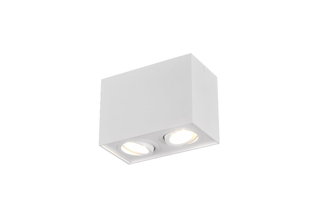 LED griestu spotlampa Biscuit 2XGU10, matēti balta cena un informācija | Griestu lampas | 220.lv