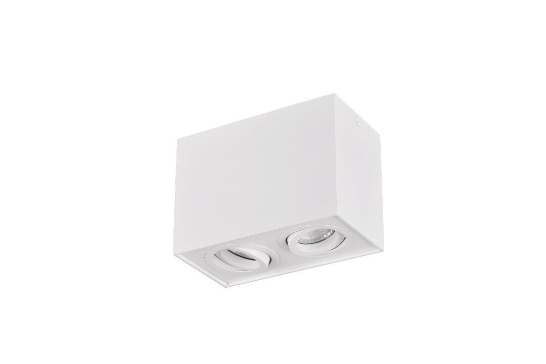 LED griestu spotlampa Biscuit 2XGU10, matēti balta цена и информация | Griestu lampas | 220.lv