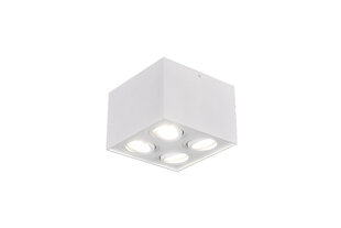 LED griestu spotlampa Biscuit 4XGU10, matēti balta цена и информация | Потолочные светильники | 220.lv