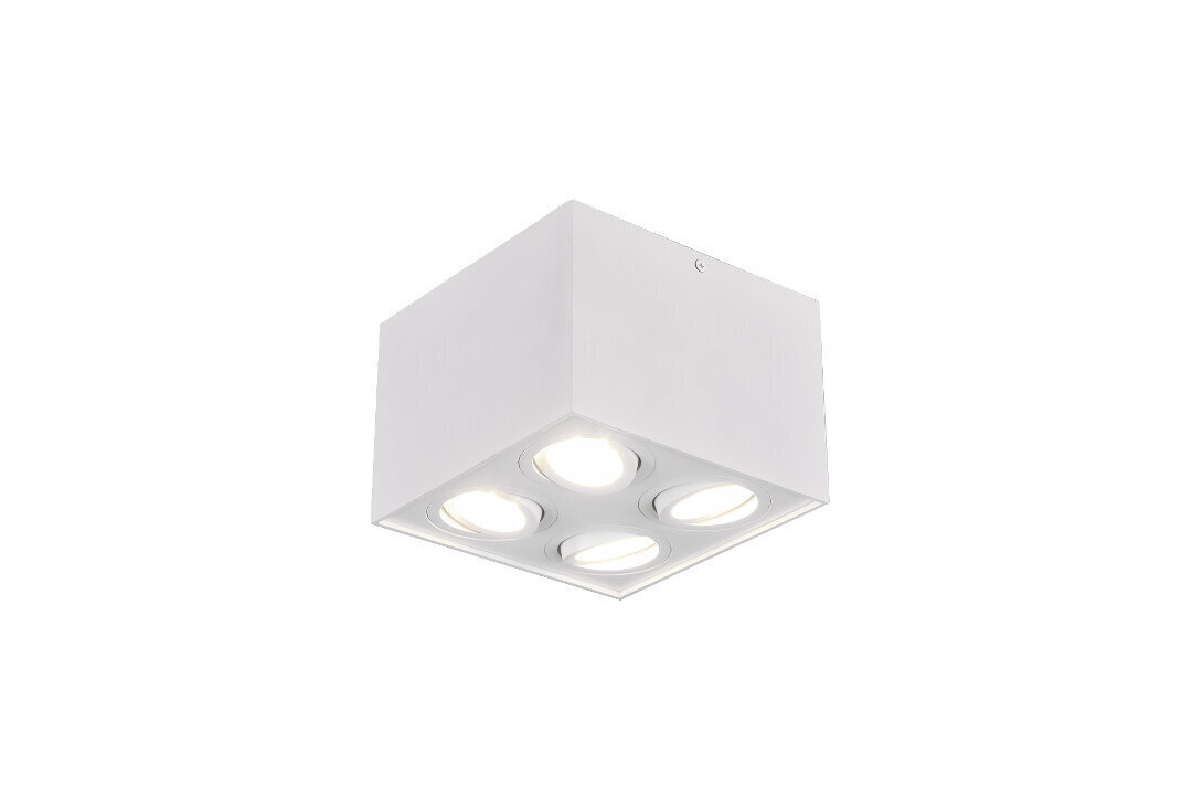 LED griestu spotlampa Biscuit 4XGU10, matēti balta цена и информация | Griestu lampas | 220.lv