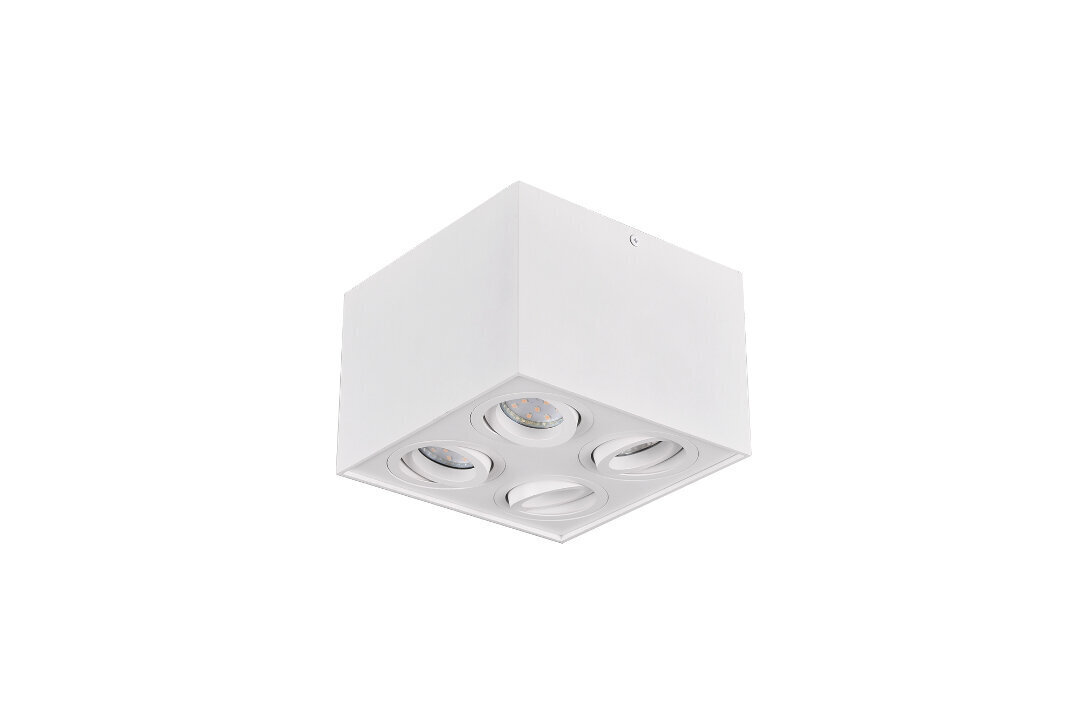LED griestu spotlampa Biscuit 4XGU10, matēti balta cena un informācija | Griestu lampas | 220.lv