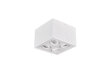 LED griestu spotlampa Biscuit 4XGU10, matēti balta cena un informācija | Griestu lampas | 220.lv