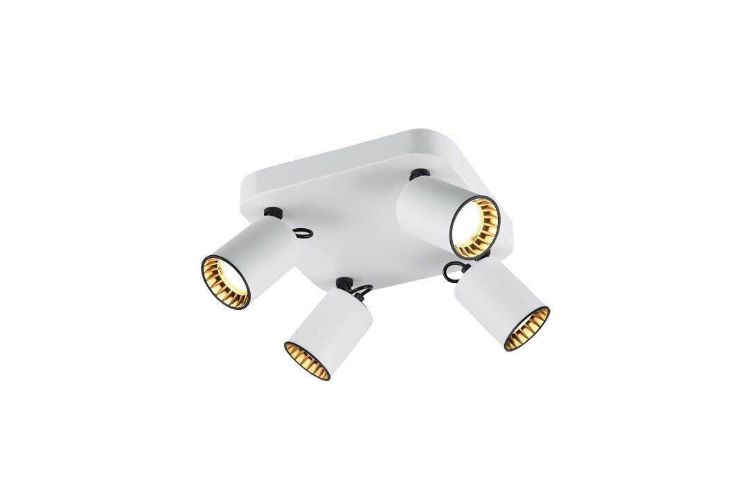 Spotlampa Pago 4xGU10, matēti balta/melna cena un informācija | Griestu lampas | 220.lv