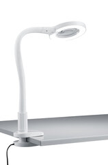 Galda lampa Lupo LED Clips, balta cena un informācija | Galda lampas | 220.lv