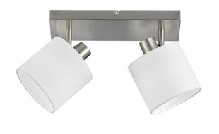 2-daļīga spotlampa Tommy 2xE14, birstēta tērauda/balta cena un informācija | Griestu lampas | 220.lv