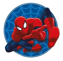 Декоративная подушка Spiderman  35x35 cm цена и информация | Декоративные подушки и наволочки | 220.lv