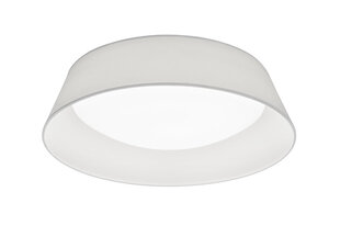 LED griestu gaismeklis Ponts 45 cm balts цена и информация | Потолочные светильники | 220.lv