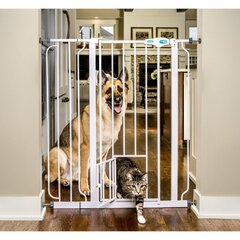 Защитная перегородка для домашних питомцев Carlson Pet Products цена и информация | Переноски, сумки | 220.lv