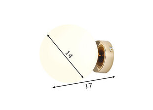 Sienas lampa Ball, zeltaina, 40 W cena un informācija | Sienas lampas | 220.lv