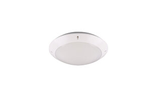 Griestu lampa Camaro 33 cm, 2xE27, matēti baltā krāsā cena un informācija | Āra apgaismojums | 220.lv