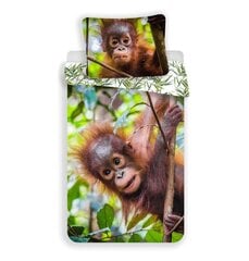 Gultas veļas komplekts Orangutan, 140 x 200 cm + spilvendrāna 70 x 90 cm cena un informācija | Gultas veļas komplekti | 220.lv