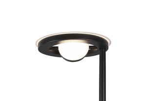 LED grīdas lampa Barrie, matēti melna цена и информация | Торшеры | 220.lv