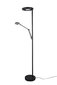 LED grīdas lampa Barrie, matēti melna cena un informācija | Stāvlampas | 220.lv