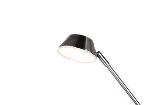 LED grīdas lampa “Haora”, birstēts tērauds cena un informācija | Stāvlampas | 220.lv