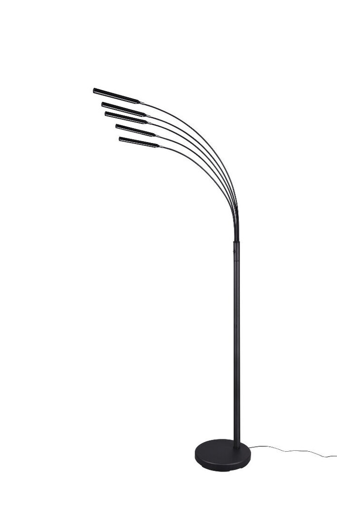LED grīdas lampa Reed, matēti melna cena un informācija | Stāvlampas | 220.lv