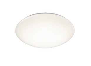 LED griestu plafons Pollux, 27 cm, balts, ar 12 W, 1000 lm LED, IP44, ar kustības sensoru cena un informācija | Griestu lampas | 220.lv