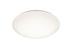 LED griestu plafons Pollux, 27 cm, balts, ar 12 W, 1000 lm LED, IP44, ar kustības sensoru