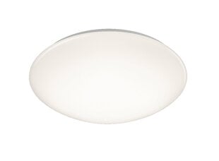 LED griestu plafons Pollux, 40 cm, balts, ar 15 W, 1600 lm LED, IP44, ar kustības sensoru цена и информация | Потолочные светильники | 220.lv