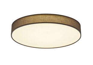 LED plafons Lugano, 75 cm, pelēks/balts цена и информация | Потолочные светильники | 220.lv